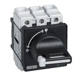 SCHNEIDER ELECTRIC MAIN SWITCH DISCON 32A 3389110449389