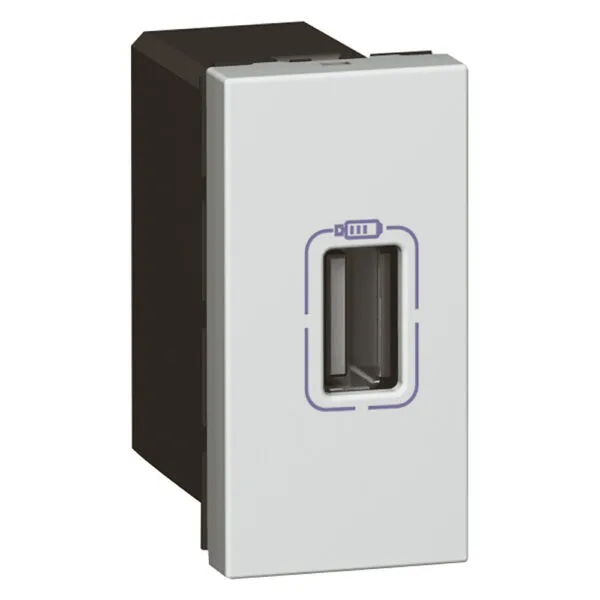 Legrand 079391 S.Armada 1m iki çıkışlı 5V 750mA kendinden USB çıkışlı priz alü