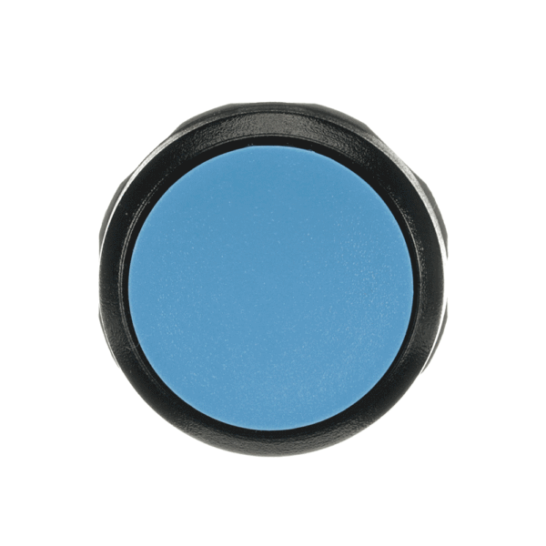 ABB MP1-10L Yaylı Buton Kafası Düz Kafalı Mavi 1SFA611100R1004