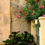 Cata Ct-7015 Napoli Bahçe Armatürü