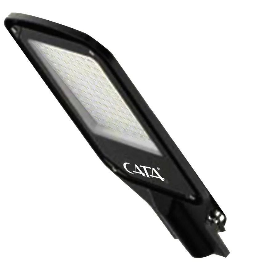 CT-4682_1 Cata CT-4682 150W Platinum Sokak Armatürü