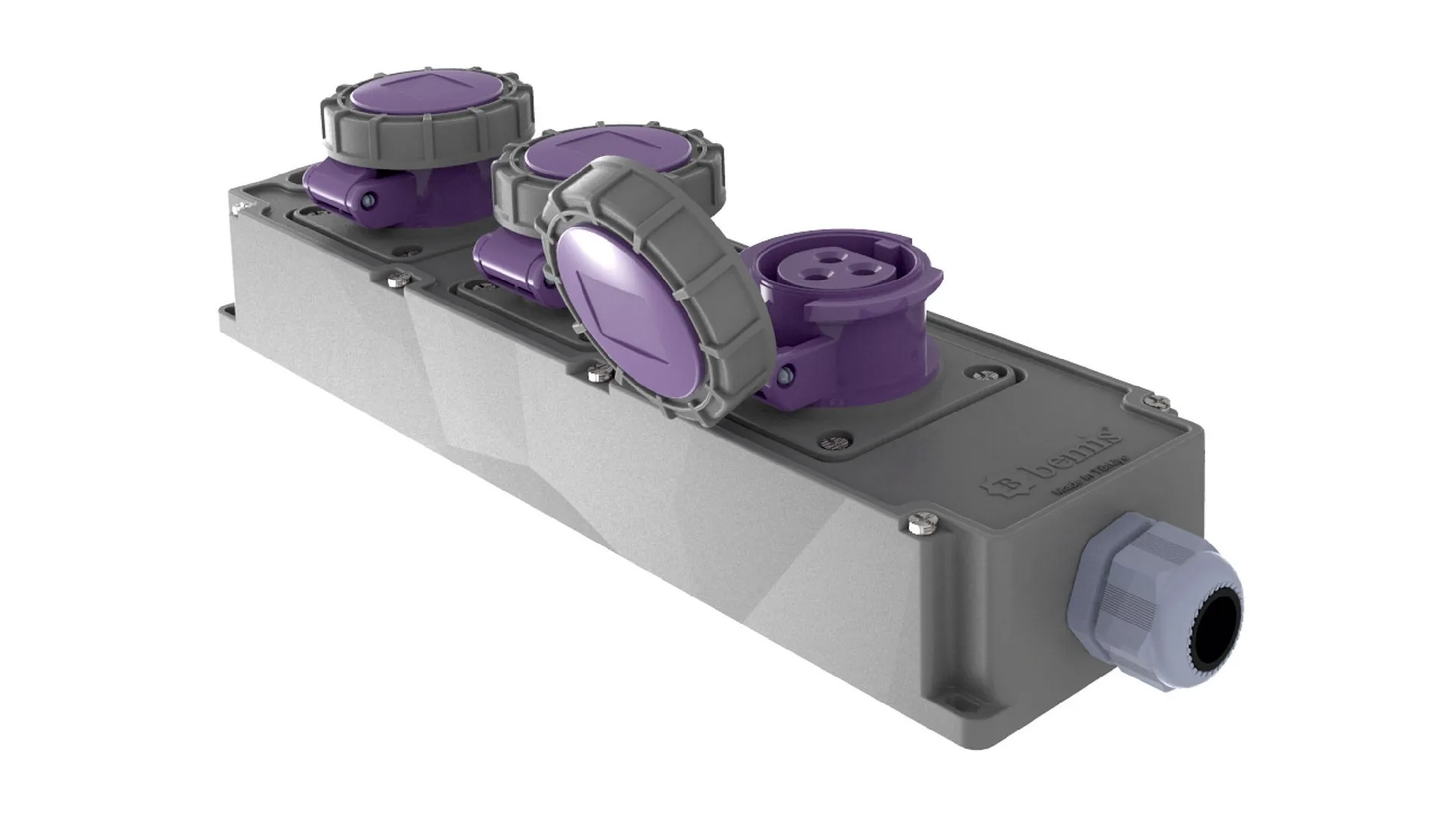 BG6-101N-1N1N Bemis 3/32A. 24V. 3 Ad. IP67