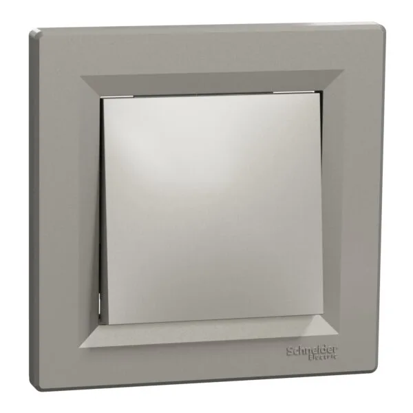 Schneider EPH0100169 Asfora Bronz Anahtar