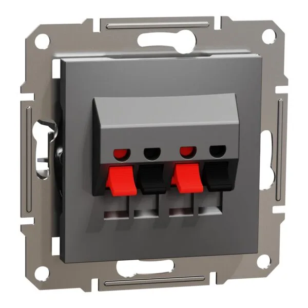 Schneider EPH5700171 Asfora Plus İkili Çerçevesiz Vidasız Antrasit Hoparlör Prizi