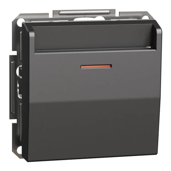 Schneider EPH6200171 Asfora Plus Antrasit Çerçevesiz Vidasız Mekanik Energy Saver